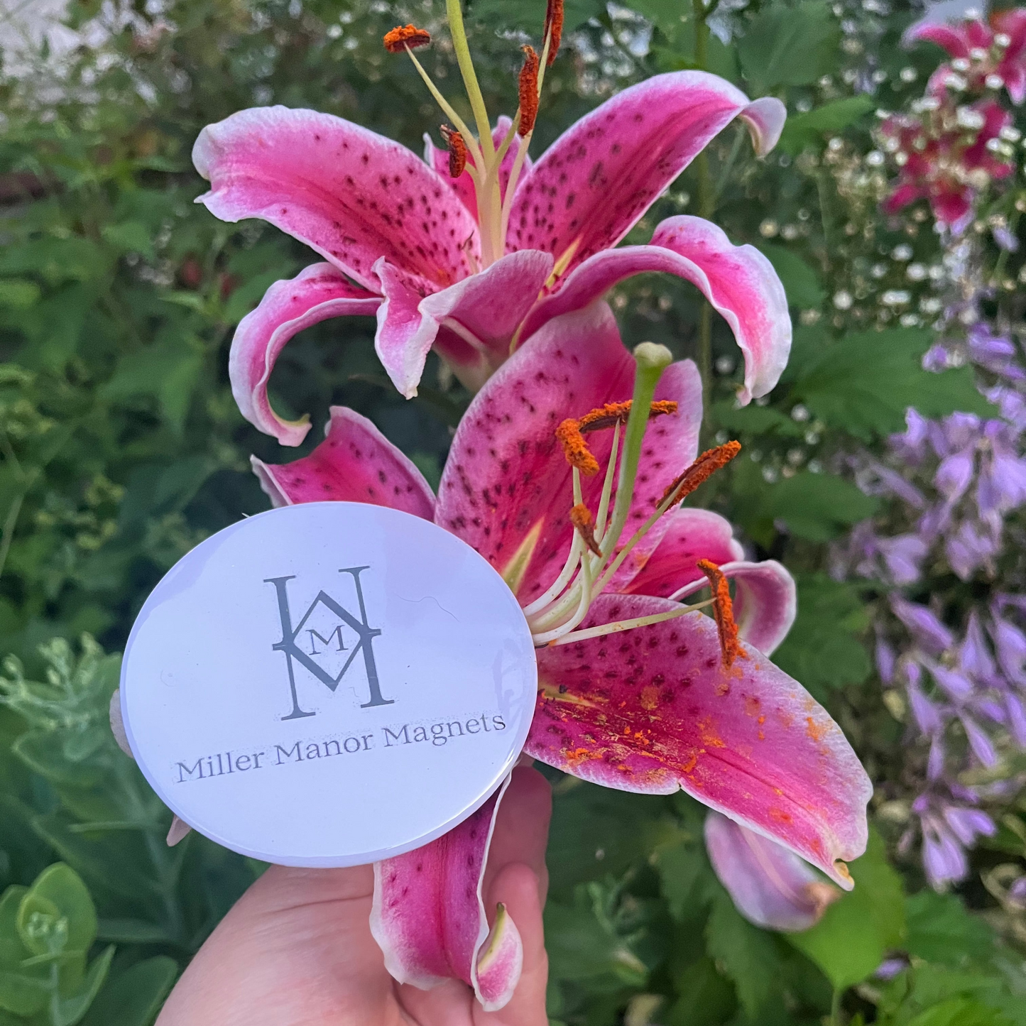 Hand holding a 'Miller Manor Magnets' button in front of pink lilies