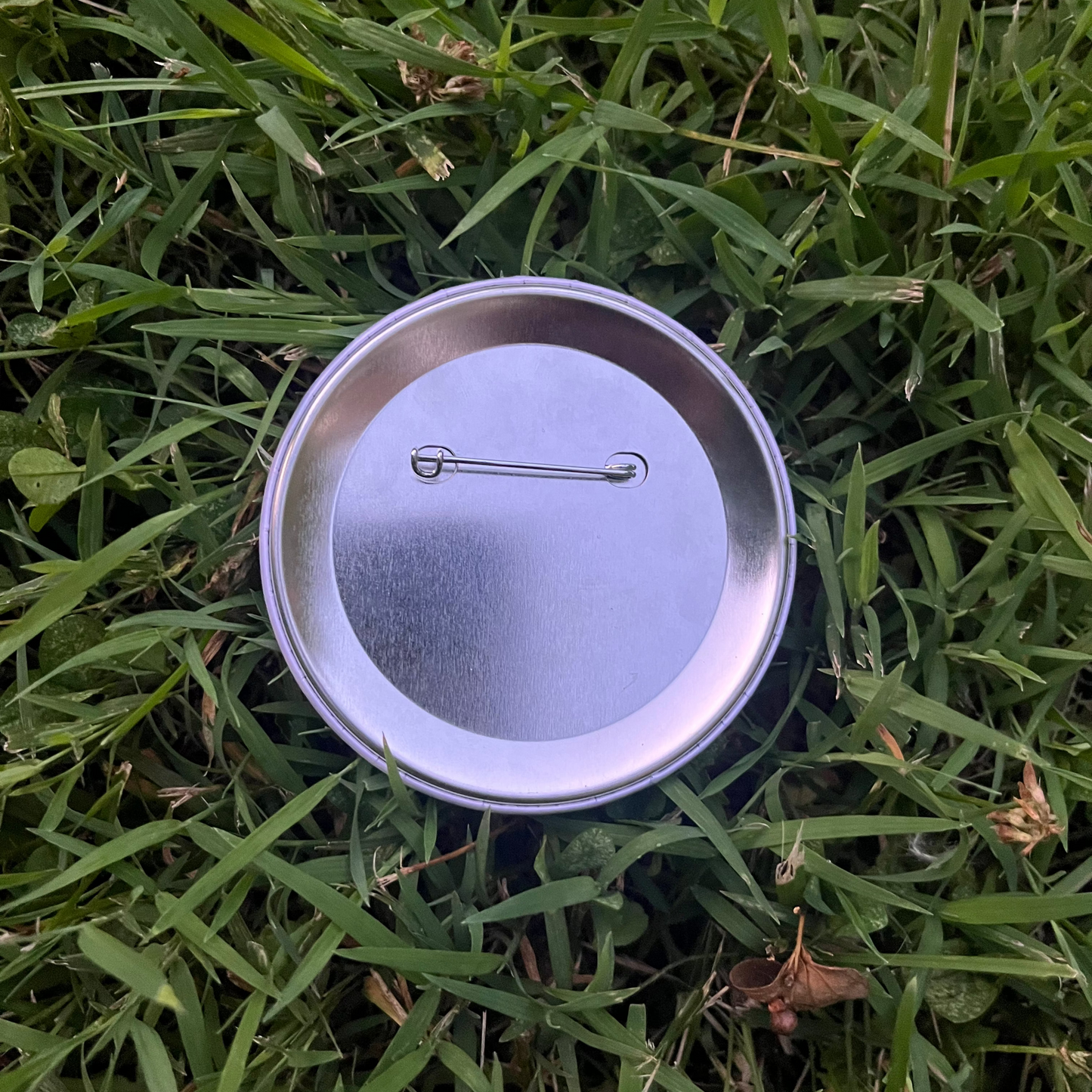 Metallic button on grass