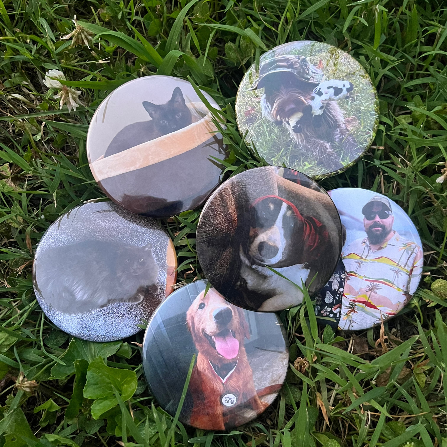 Set of circular buttons with dog, cat and human couple images on a grass background
