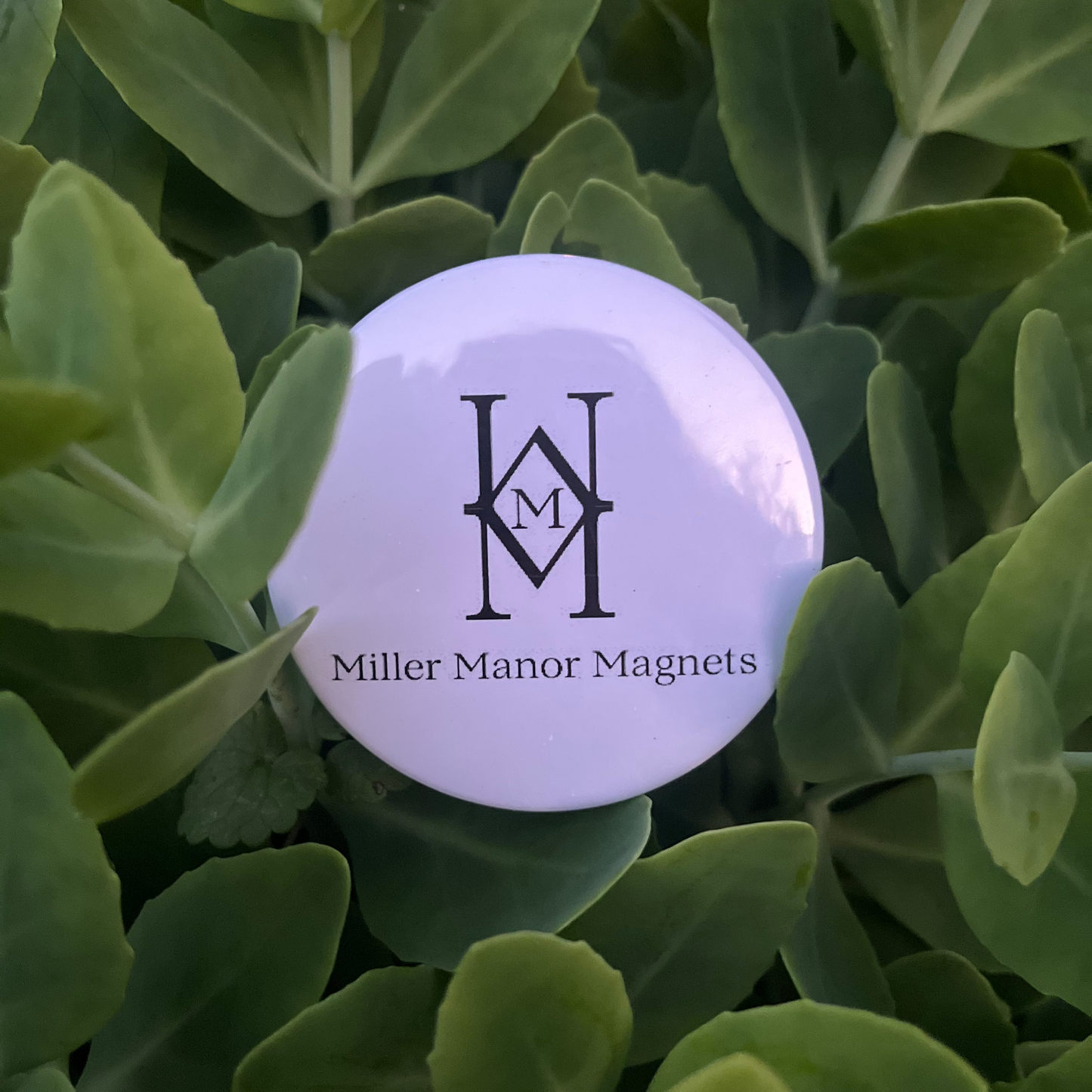 Round white magnet with 'Miller Manor Magnets' logo on green leaves