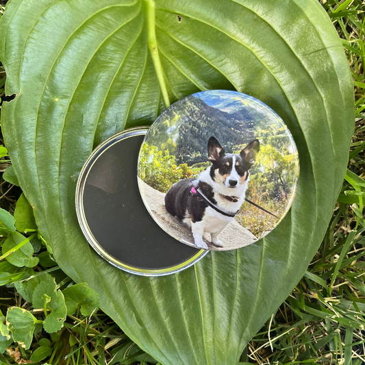 Round magnet with a dog photo on a large green leaf