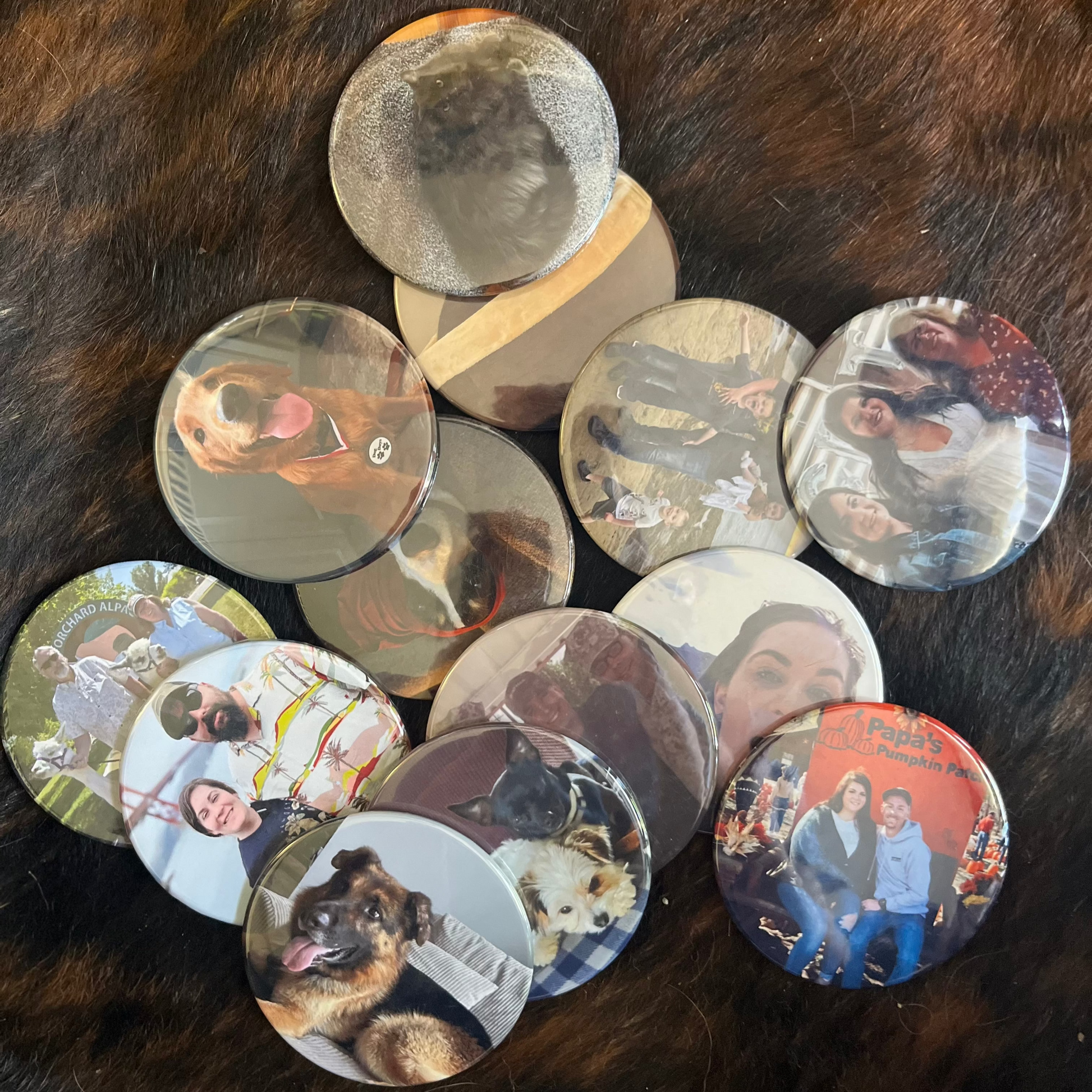Collection of round photo magnets on a cow hide surface
