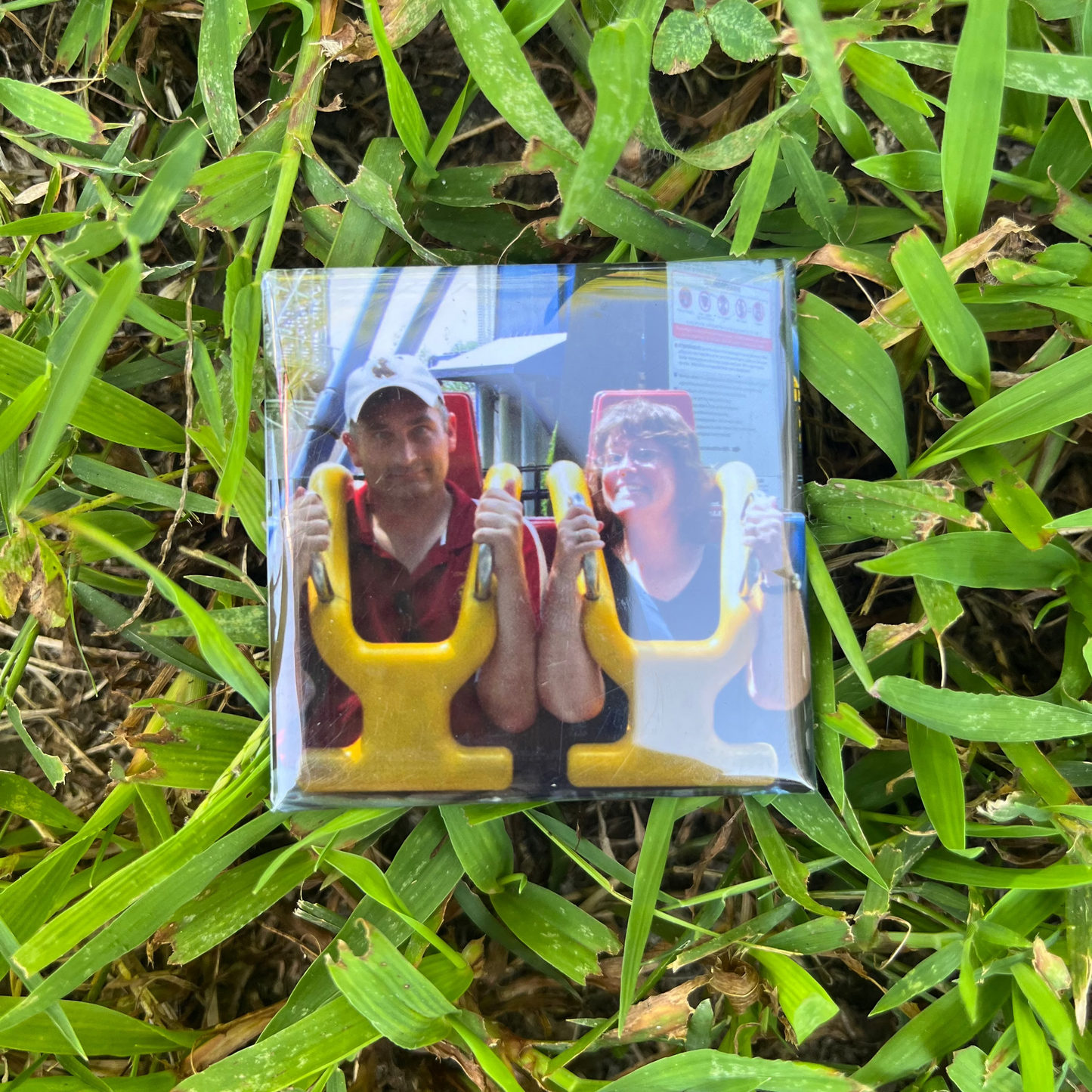 magnet with a roller coaster design on grass