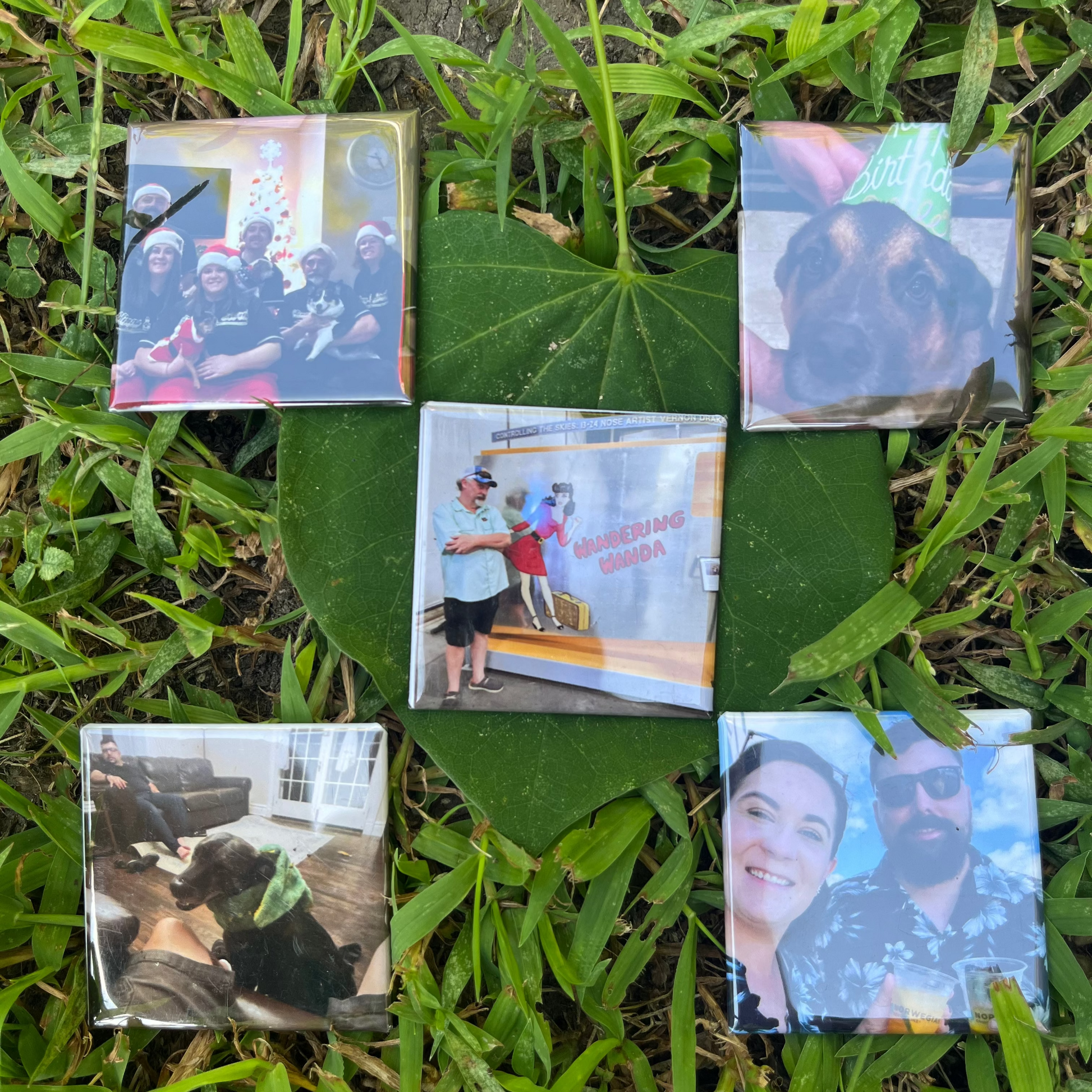 Five small photo magnets on grass with various images inside