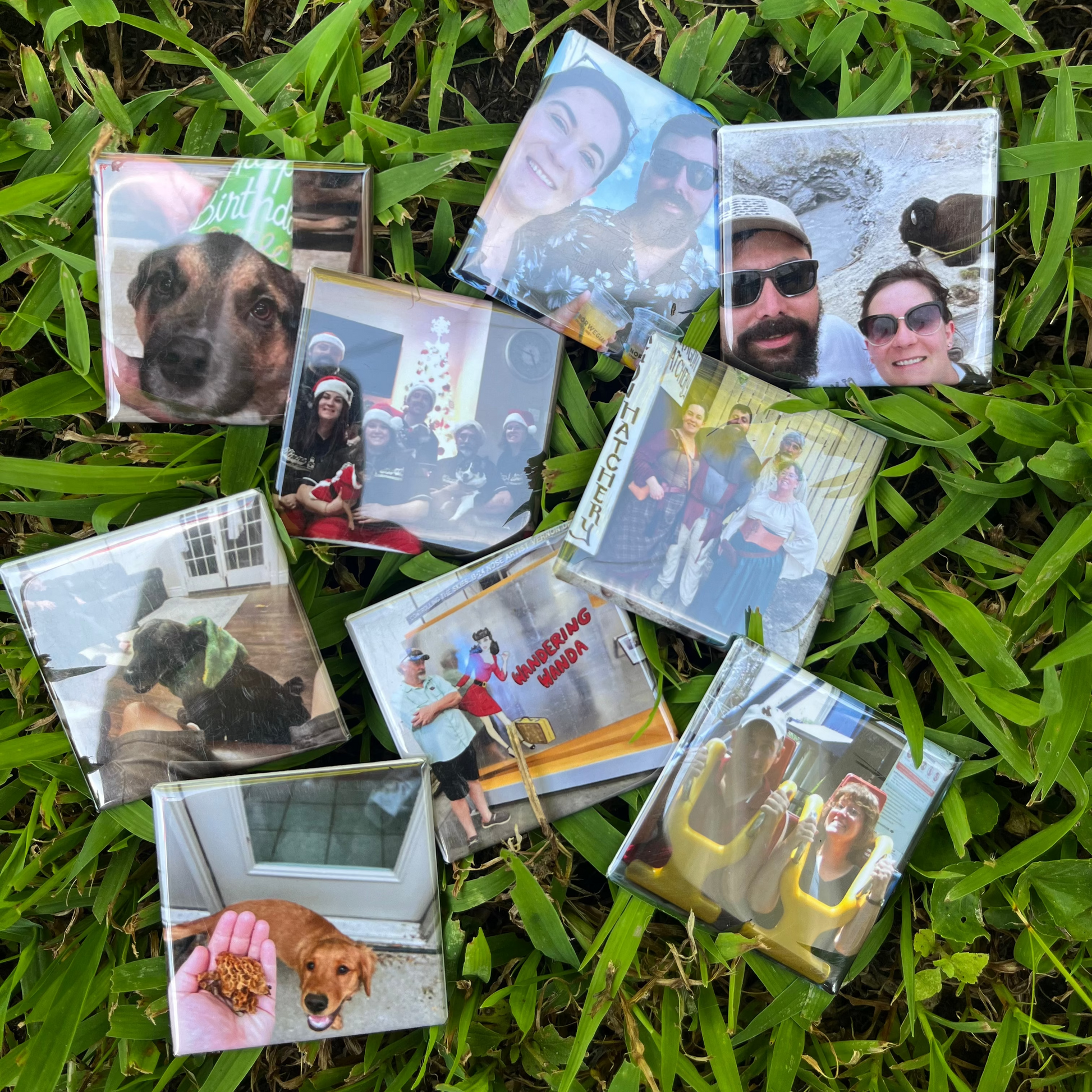 Collection of small photo magnets on grass