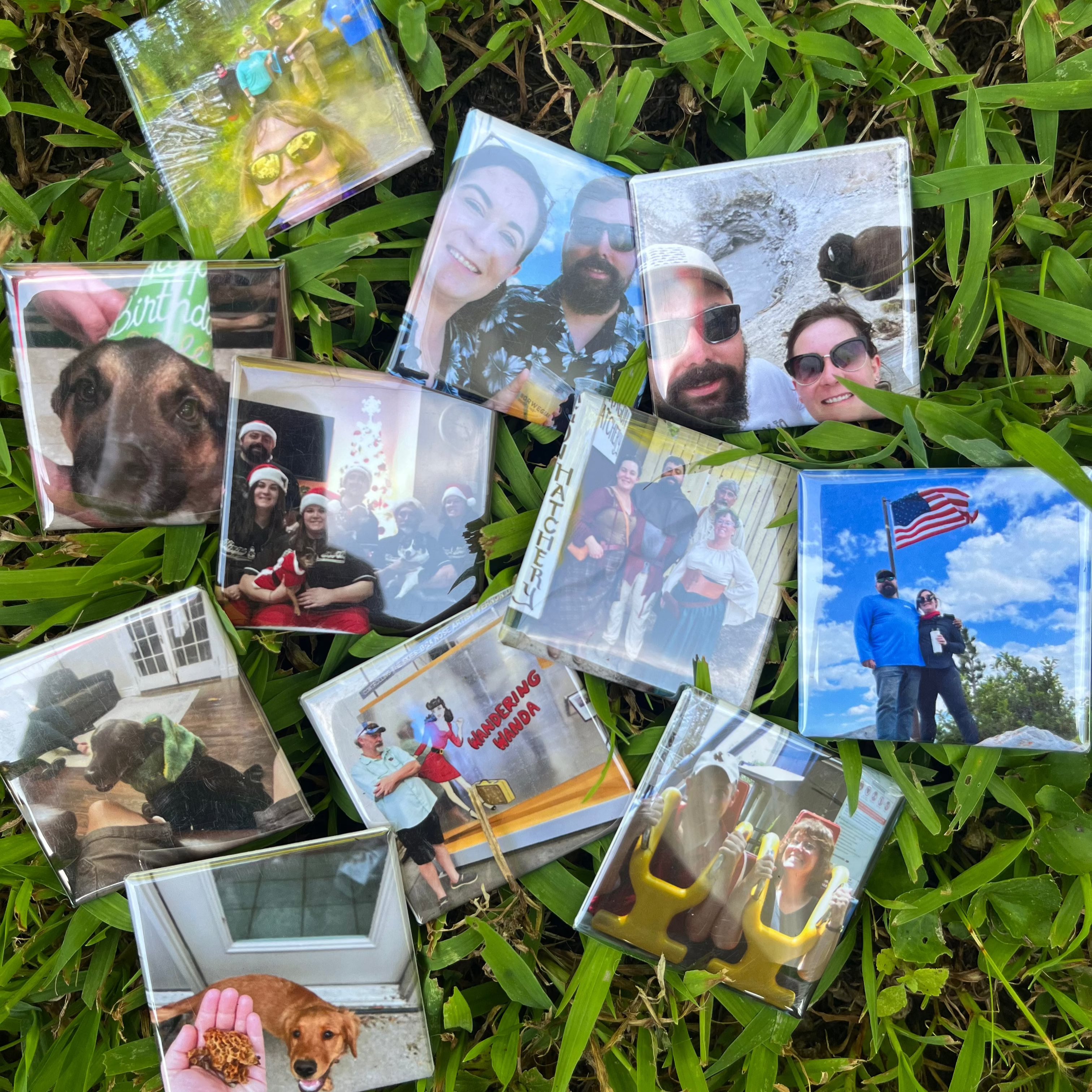 Collection of small photo magnets on grass